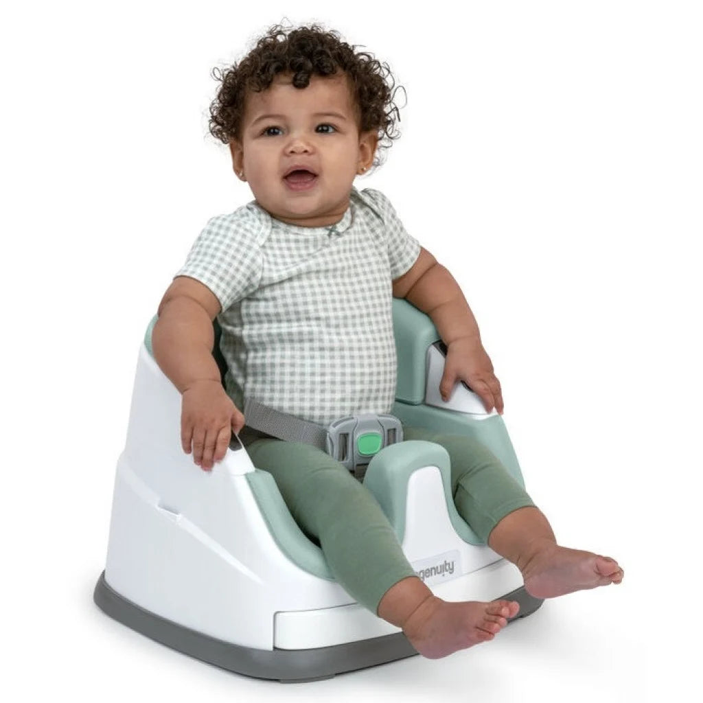 Ingenuity baby seat with tray online