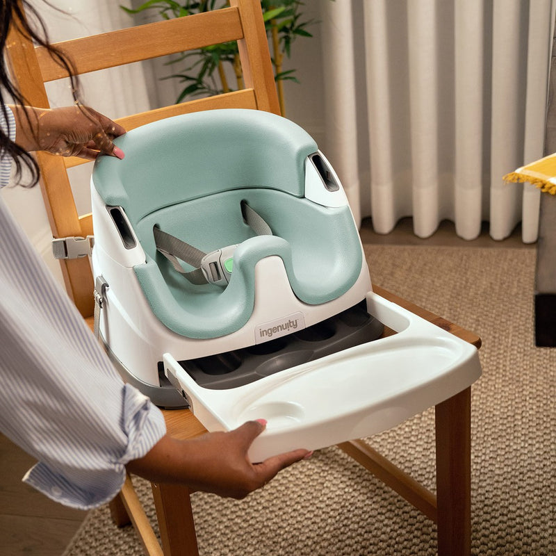 Ingenuity Baby Base 2-in-1 Booster Seat - Winkalotts
