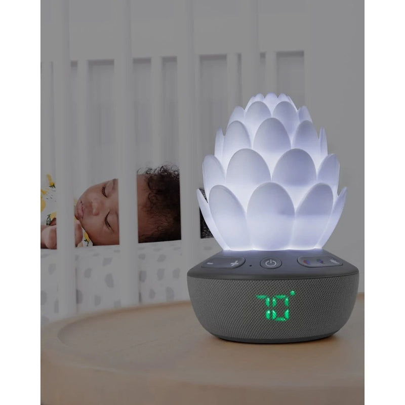 Skip Hop Terra Cry Activated Soother - Winkalotts